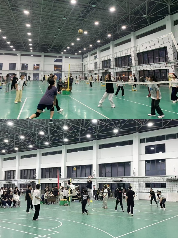 IMG_20251111_100356.jpg IMG_20251111_100356.jpg